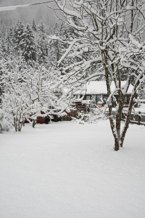 Gipfelkoenig Apartment Bayrischzell Luaran gambar
