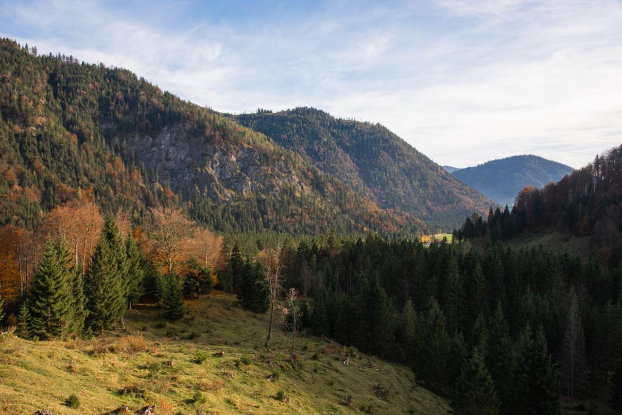Gipfelkoenig Apartment Bayrischzell Luaran gambar
